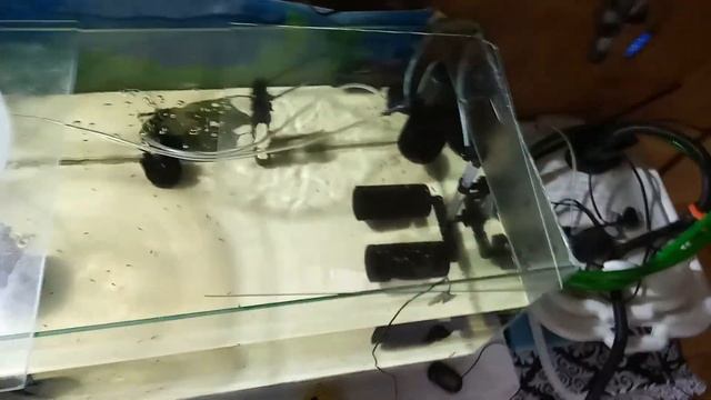 Натворил с утра дел...😉✋👍 смотреть онлайн