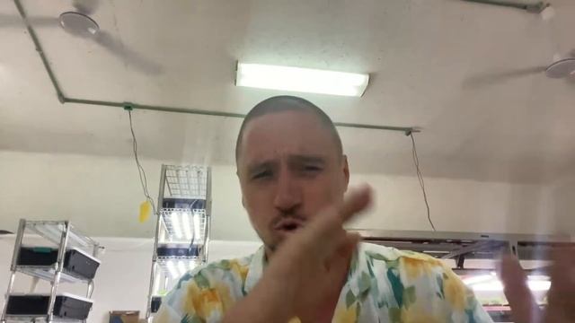 Урок Микрозелень Продажи смотреть онлайн