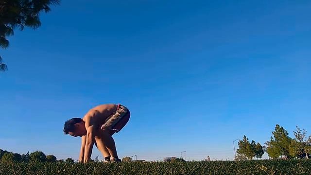 Day 163 200 Day Burpee Challenge, 315 pushups, chin stands, yoga flow, 50+ yr old смотреть онлайн