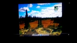 Обзор на DVD-диск Планета Животных Выпуск 9