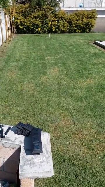 JARDÍN BOTANERO JAOA AQUI EN SAN LUIS TEOLOCHOLCO SECCIÓN PRIMERA смотреть онлайн