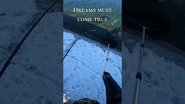 Где Поймать Форель Мечты! #форель #рыбалка2024 #ловляфорели  #fishing