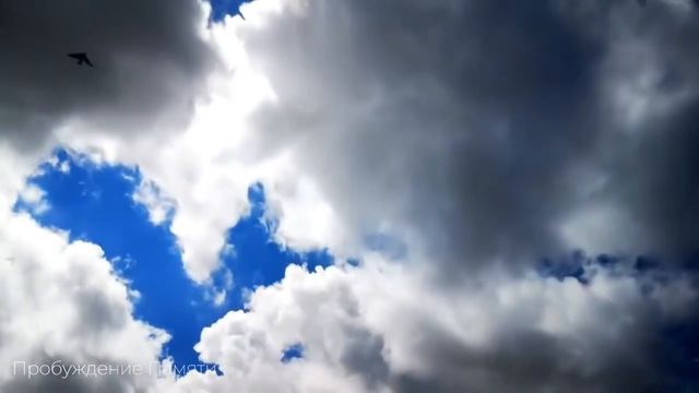 Путешествие в доисторическое прошлое нашей планеты смотреть онлайн