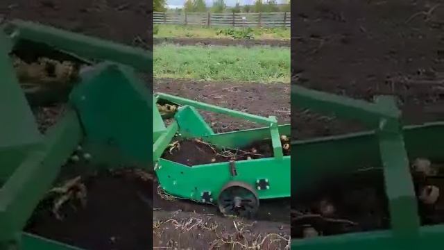 Копатель корнеплодов УРАЛЕЦ КК-540