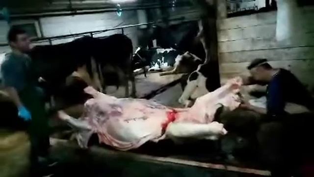 Дчалилов сохибчон касобхои Артиланд2020 г. смотреть онлайн