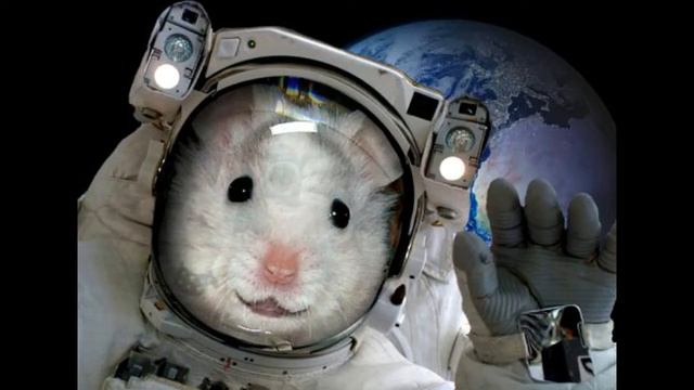 Маленькие герои космоса смотреть онлайн