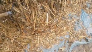 МОЛ БОКИШ СИЛОС ЯМАСИ УЙ ШАРОИТИДА