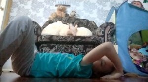 VID_20250204_111530.mp4