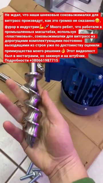 Микрозелень, бизнес, витграсс - как отжать сок из ростков пшеницы