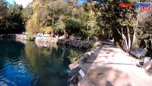 Парки Воронцовского дворца в Алупке. Экскурсия выходного дня ЧВК "СтарПёр55" Омичу всё по плечу!