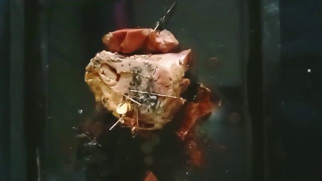 РИТУАЛ ПЕРЕКЛАД ЛЮБОВНОЙ ТОСКИ ПРОШЕЛ УСПЕШНО.