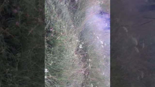 Копия видео "юпитер 5" смотреть онлайн