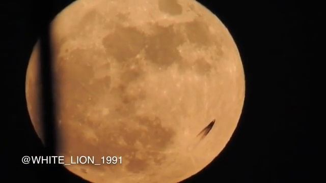 "ПОЛЗУЩИМ" ПО ЛУНЕ ГИГАНТСКИМ НЛО ПОСТАВИЛО УЧЕНЫХ В ТУПИК смотреть онлайн