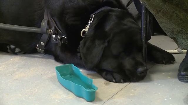 Доброе дело смотреть онлайн