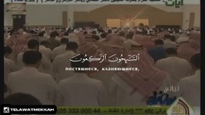 Легендарное чтение шейха Ясир ад Даусари || Сура Ат-Тауба