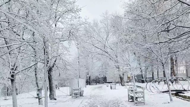 Таганрог. Февраль. Вот и пришла зима. смотреть онлайн