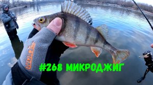 #268 Микроджиг Москва-река 4 февраля 2025