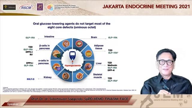 Rasionalitas Terapi Berbasis Inkretin pada DM Tipe 2