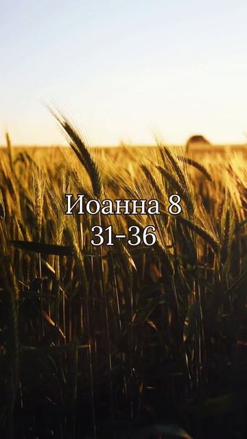 Бог Есть Любовь!❤️️️ #СловоБожье