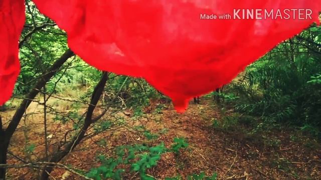 The Boy || Telugu short film || Horror Short Film || Creepy Planet || смотреть онлайн