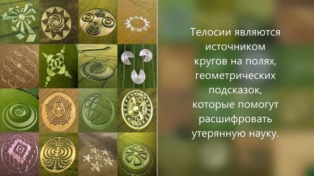 Подземные жители Земли
