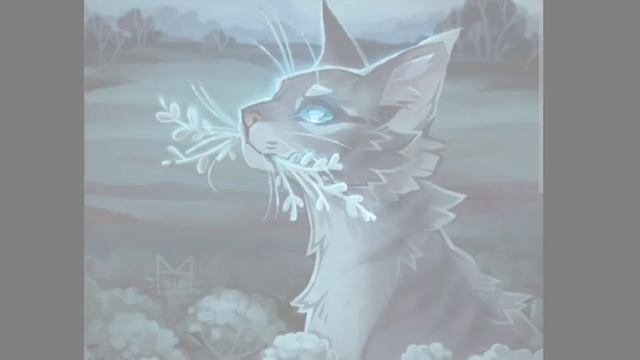  котывоители