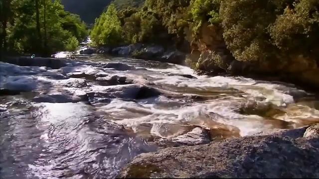 ИСЦЕЛЕНИЕ ОБЛАСТИ ГОРЛА Ч 2 Для мужчин, Сытин (без музыки) смотреть онлайн