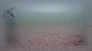 РК Раскаты 2025.01.27 7