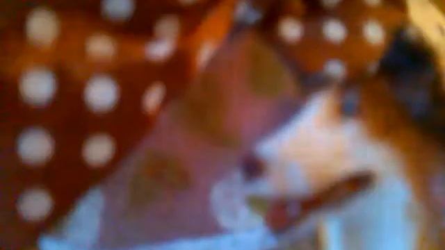 1 Сезон 2 серия звезды удачи смотреть онлайн