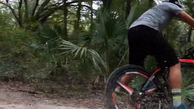 Summit Folding Electric Mountain Bike by Jupiter Bike: Riding on a Trail