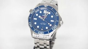 Omega 210.30.42.20.03.001