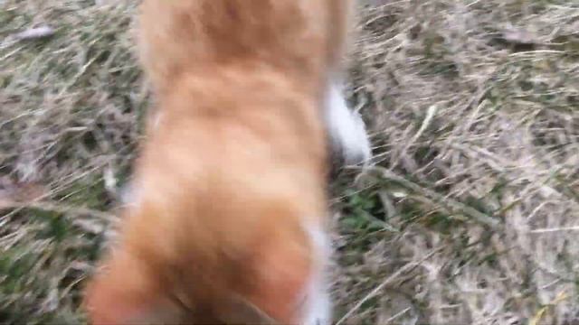 5 мая 2018 г. Марс смотреть онлайн