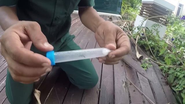 МУРАШ Thai серия 09 (в поиске Camponotus Gigas) смотреть онлайн