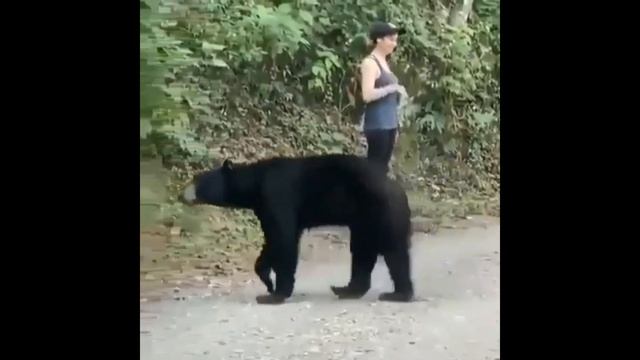 НЛО И УДИВИТЕЛЬНОЕ конец июля 2020 смотреть онлайн