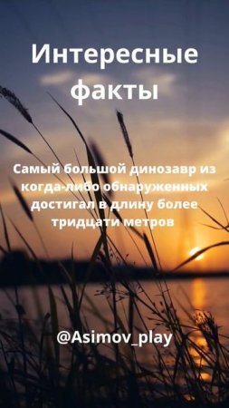 #2023 #рекомендацииютуба #facts #shortvideo #fact #fannyvideo