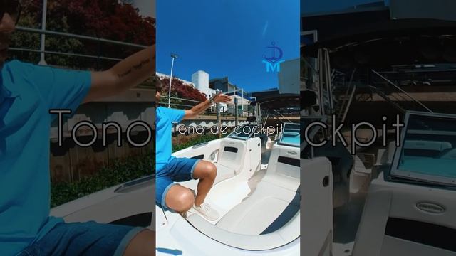 CANESTRARI 225 CROSSOVER MERCRUISER 300 HP смотреть онлайн