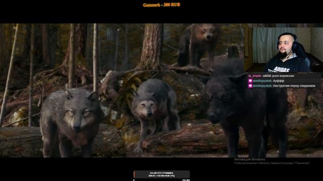 Обзор Фильма Сумерки Затмение смотреть онлайн