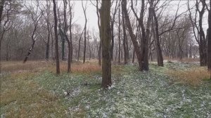 Керчь. Снежок, Казённый сад 04.02.25