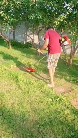 MTD Brush Cutter Demo