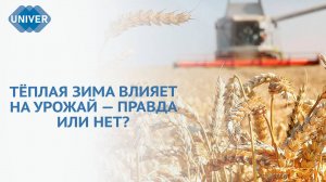 ЧТО БУДЕТ С УРОЖАЕМ В 2025 ГОДУ?