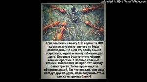 The Prodigy - Their Law Live @  Pukkelpop Festival, Kiewit, Belgium (25.08.2001)