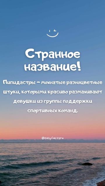Странное название! Интересный факт №128