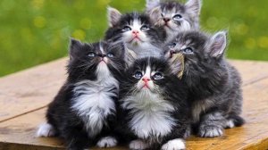 Музыка Хит FM. Это - хит! Посмотрите!