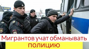 Мигрантов учат обманывать полицию