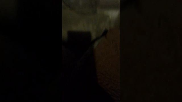 тайна пятой планеты смотрим