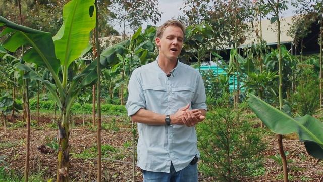 Syntropic Trailblazers: ForestFoods Africa