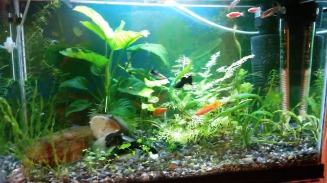 20150210 232751 смотреть онлайн