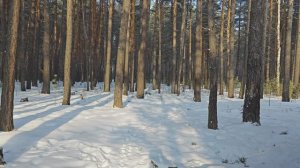 Будни на стройке. Ничего не делаем)