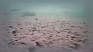 2025.01.27 РК Раскаты