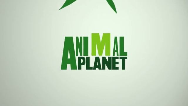 Animal Planet Logo Reveal смотреть онлайн